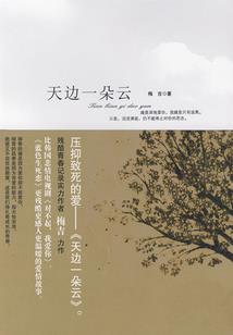 凤遨天下