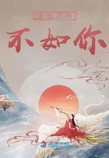 墙上的向日葵，关于泉州的记忆