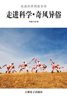 火影修仙