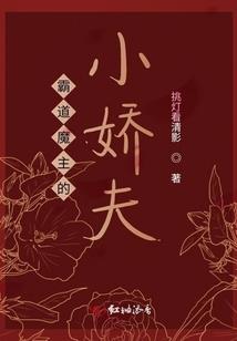 苏夜城