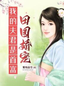 创世——三度领域