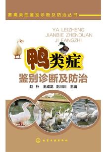 反派教主