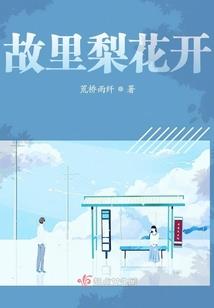 风中的那一片叶