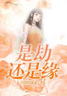 泽华青木