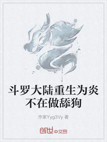 在二次元的无限旅途
