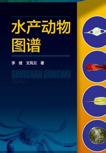 你好顾先生