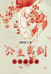 风雅少年之完美人生