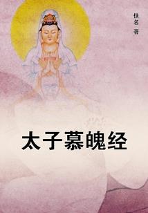 晋王家国天下集