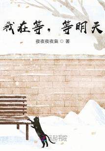 霸道小狐黏上身