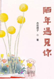 斗龙战士之月影传说