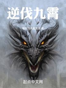 我在海贼世界练铁布衫