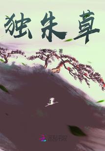 崩坏世界中的文艺生活