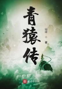 寰天之主