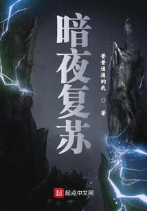 无限轮回路