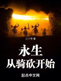 投资的项目