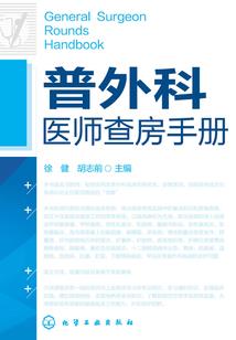 灰鼠套装