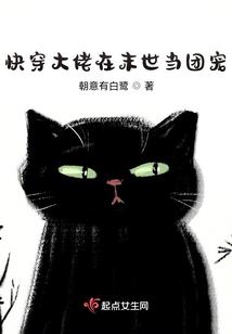 穿越公司