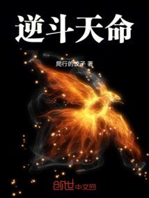 王者战队