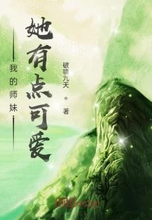 系统改造者