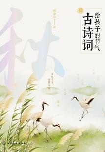 韶华倾负谁是谁的流年
