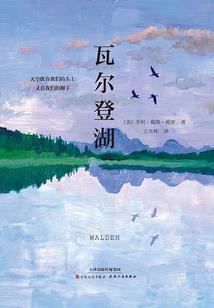 海贼大法师时代