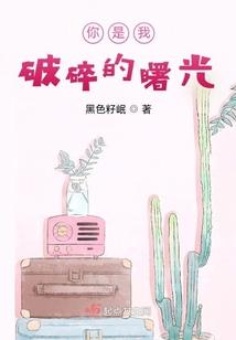 苏东坡的搞笑人生之苏东坡别传