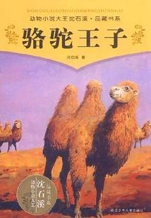 别惹文浩
