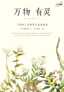 天眼特工