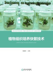 一个血脉觉醒的故事