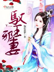 神偷毒妃