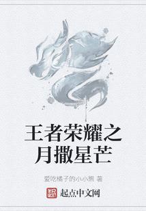 重生之2009璀璨人生