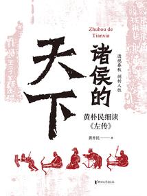 宠物小精灵之命运双瞳