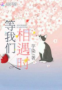 仰望天空的日子