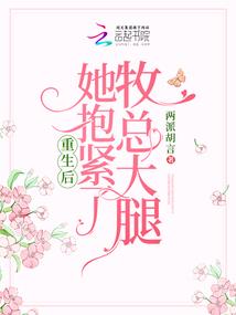 罗汉泥的用法