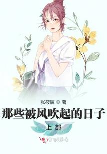 林波传