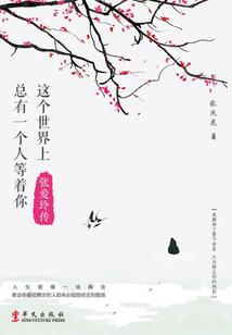 天启之世