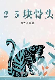 聪慧女贼对上霸道总裁