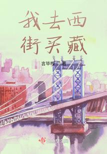 骑马与砍杀之骑士之光