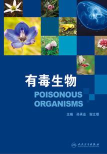 那首属于我们的悲歌