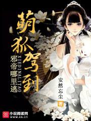 重生之本小姐不好惹