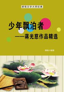 虚拟的爱人