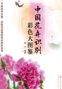 梦锁心境