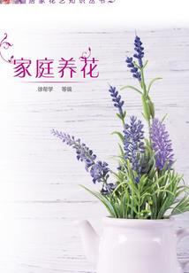 神秘王爷的傲娇特工小王妃
