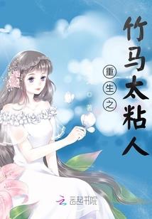 翼鸟公司