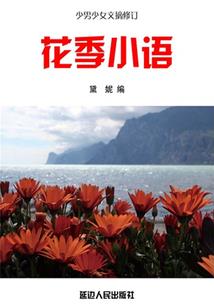 我的名字叫王伟
