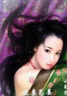 红临天下