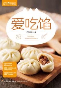 降世之光与暗的化身