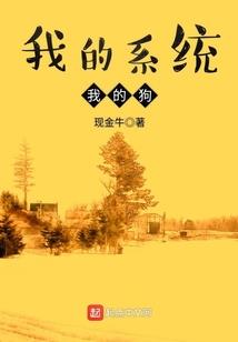 斗罗大陆之沐宇轩