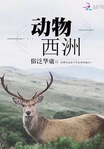 我真不想要黑科技啊