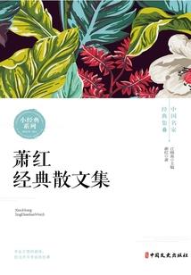 次维度之天道无极